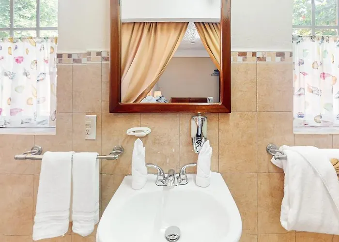 Family Getaway At Hummingbird Gold Standard Certified Apartment